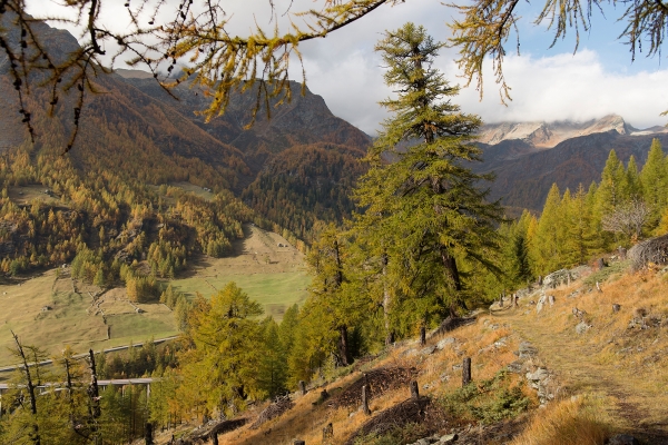 Panorama au Simplon