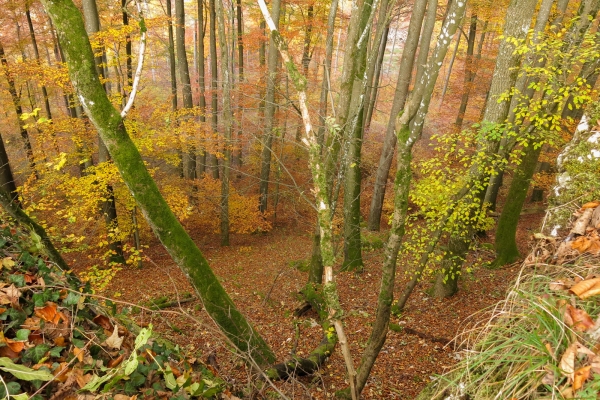 Colline ou montagne?