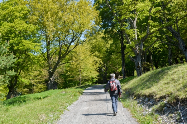 Das Fürstentum im Frühling entdecken