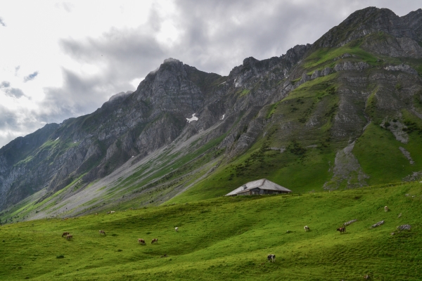 Par la vallée du Muscherenschlund