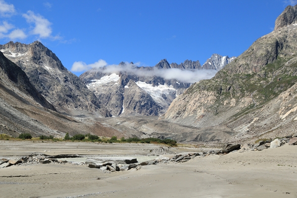 Sonnentau auf der Grimsel