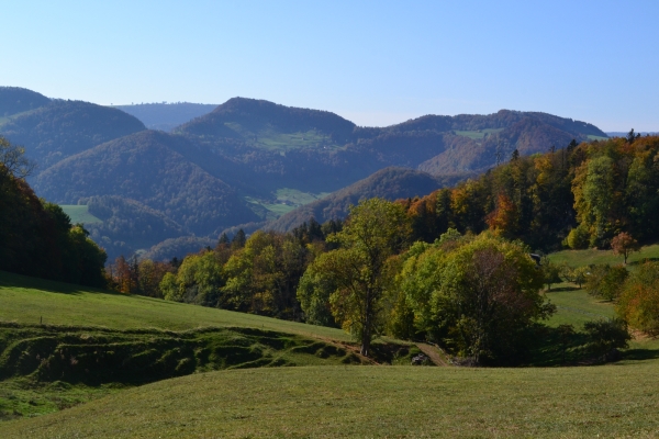 Unterwegs im Schwarzbubenland