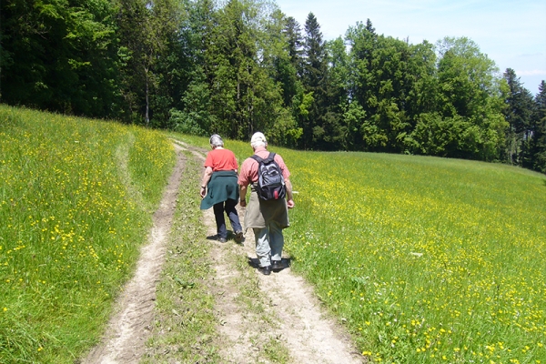 Entre le Toggenburg et le Fürstenland 