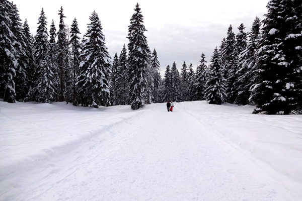 Auf und ab im Jura vaudois