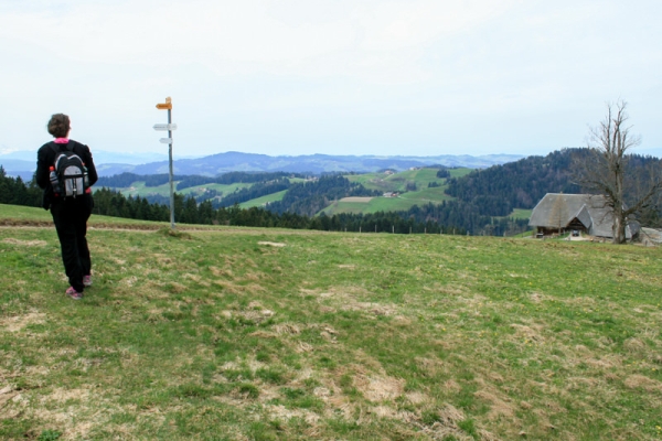 Höhenwanderung im Emmental