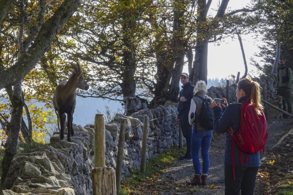 Auf den Spuren von «Lothar» im Val de Travers