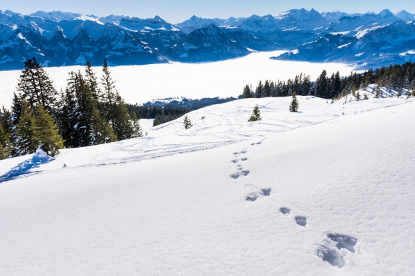 Panorama Trail in Obwalden