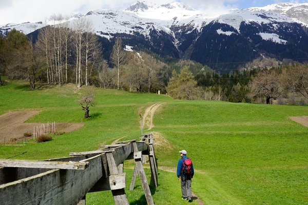 Blütenzauber im Goms