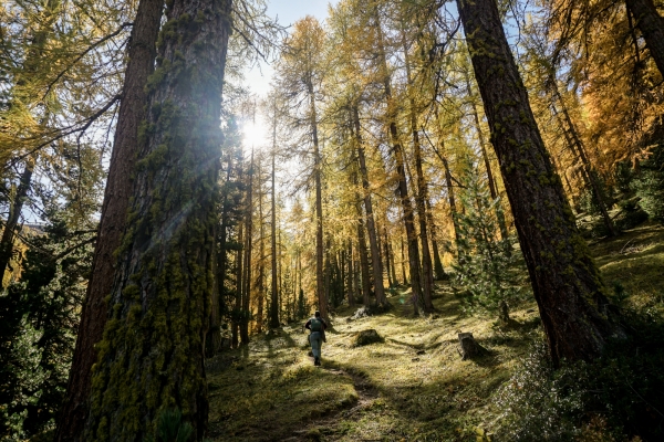 L’automne flamboyant de Zuoz