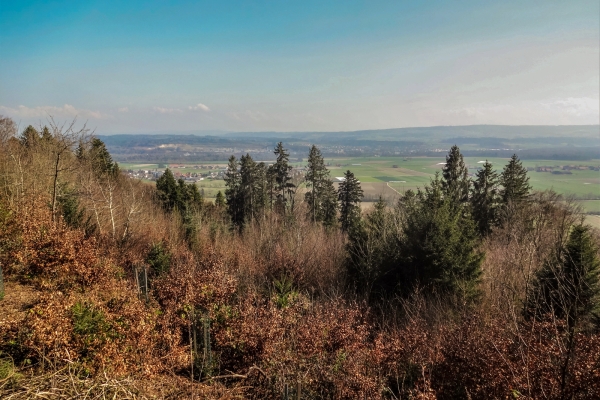 Mit dem Bielersee im Rücken