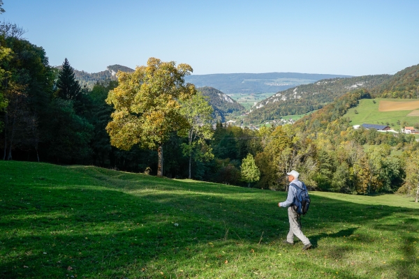 Le Welschgätterli, région jura soleurois