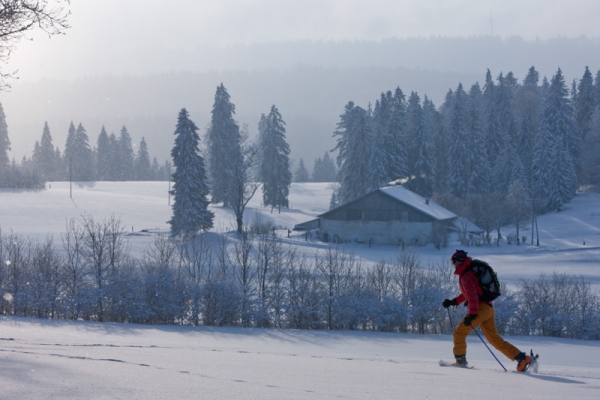 Sur le haut-plateau jurassien