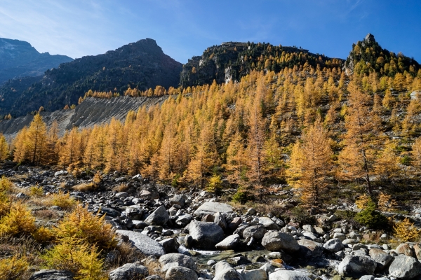 Von Grächen ins Tal des Riedgletschers