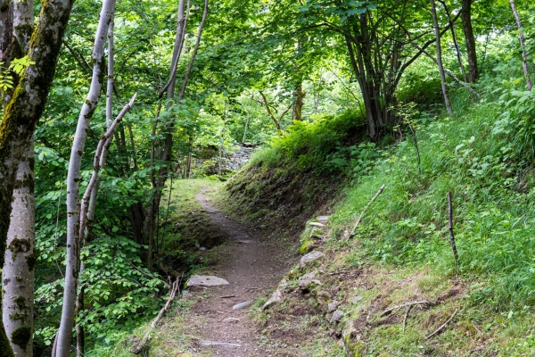 Auf einsamen Pfaden im grünen Valle di Vergeletto