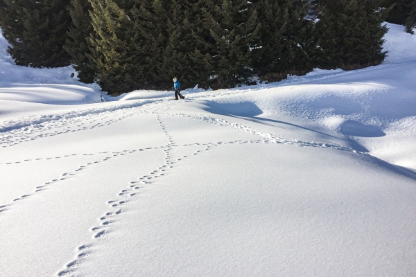 En raquettes près de Sedrun