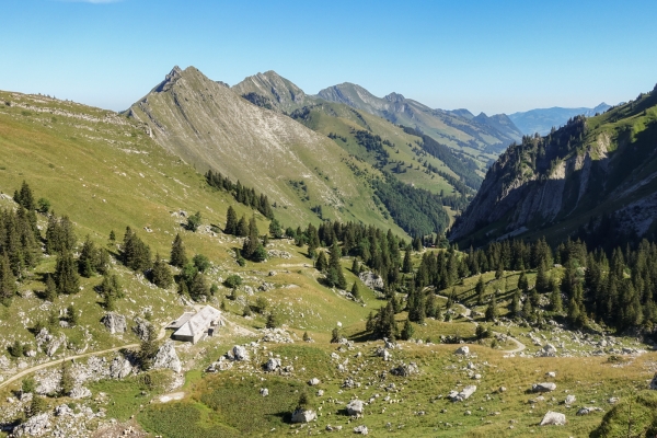 Panoramawanderung zwischen Freiburg und Waadt