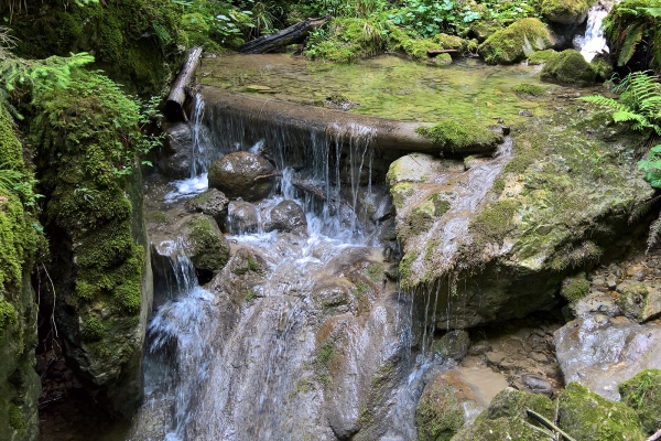 Boucle de randonnée dans le Jura soleurois