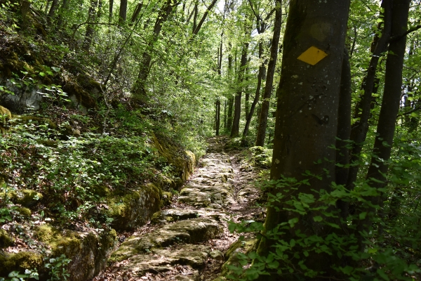 Unterwegs im Jurapark Aargau