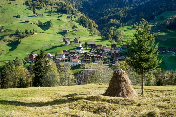 Am Wellenberg im Engelbergertal