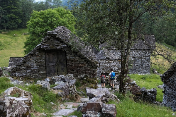 Vers luisants le long de la Verzasca