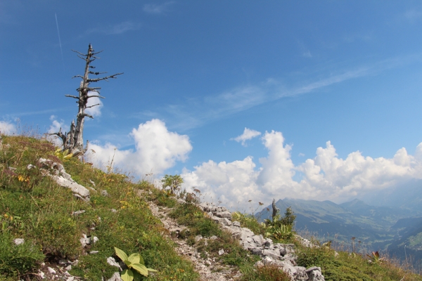 Al sole, sopra la valle del Rodano