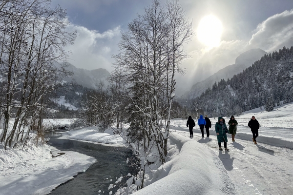 Hiver idyllique près de Gstaad