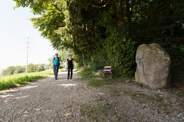 Zum Vater des Wanderns auf dem Pfannenstiel