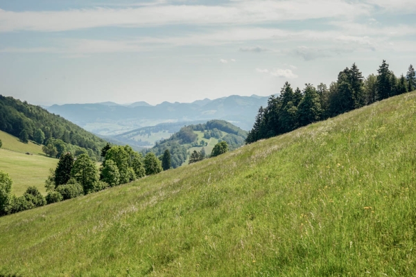 Über mehrere Jurafalten nach Moutier