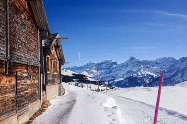 Verträumte Schneelandschaft