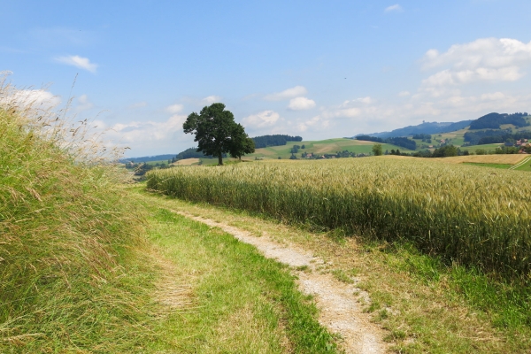 Von Schwarzenburg nach Mittelhäusern