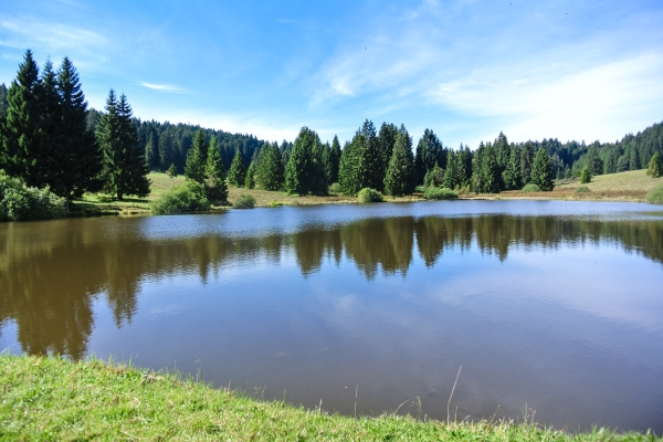 Etangs et pâturages des Franches-Montagnes