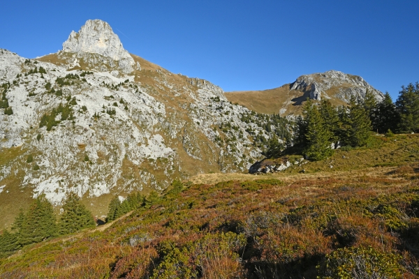 Im Chablais zu den Cornettes de Bise