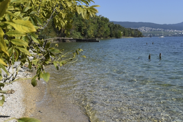 Von der Areuse zum Neuenburgersee