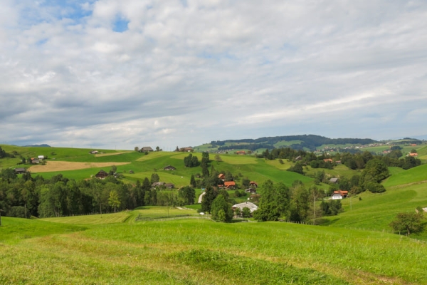 Au pays des vaches sur les traces de Vreneli