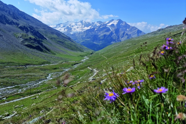 Bormio: Schmugglerpfade im Nationalpark Stelvio