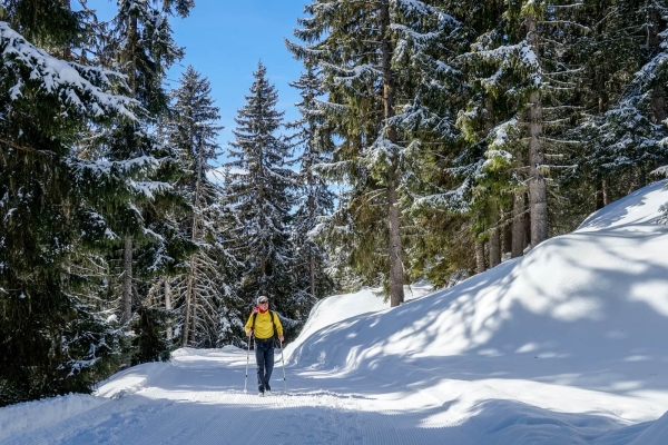 Randonnée hivernale avec vue panoramique