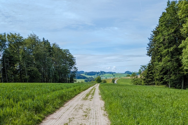 Agréable randonnée dans l’Emmental