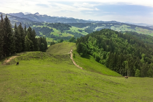 De St. Peterzell à Waldstatt