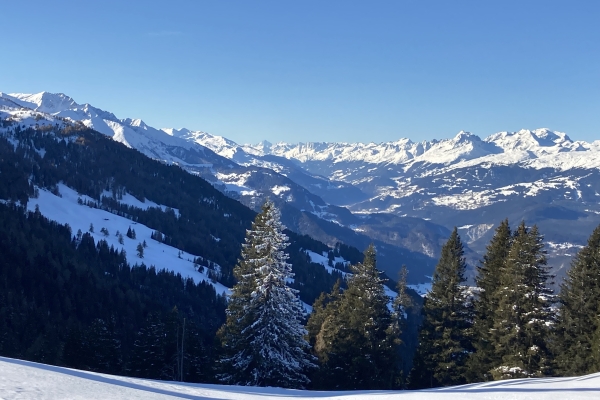 Schneeschuhwanderung Brambrüesch - Feldis