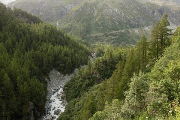 Initiation à la vie alpine au-dessus de Zinal