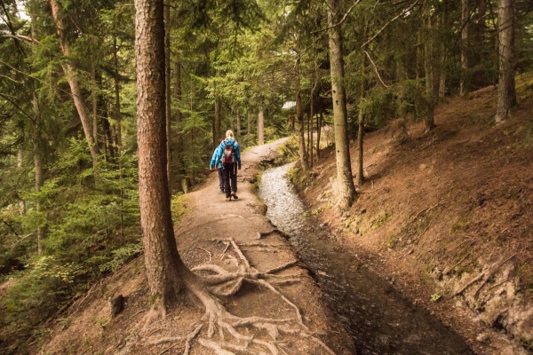 Suonenwanderweg Torrent-Neuf bei Savièse