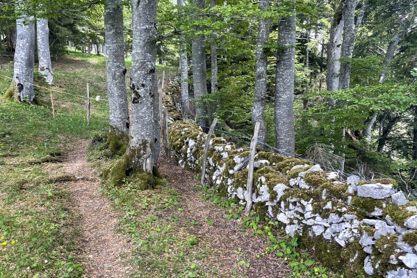 Vom Klosterdorf Bellelay auf den Montbautier