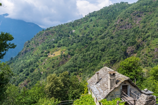 Kastanien, Steintreppen und Rustici