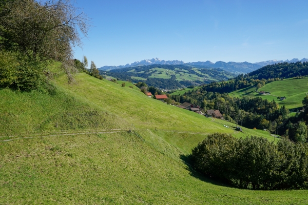 Du côté saint-gallois du Tössbergland