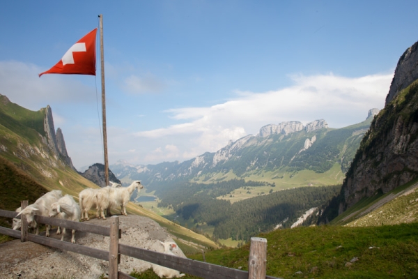 Rochers escarpés, hauteurs spectaculaires