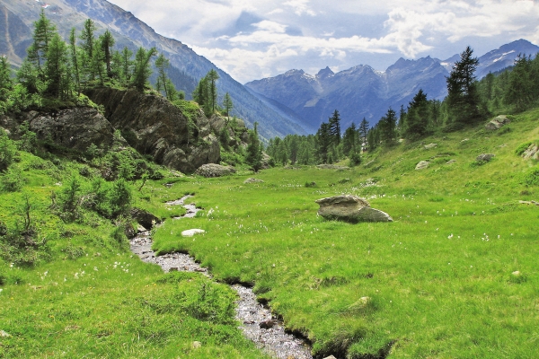 Von der Fafleralp zur Anenhütte (VS)