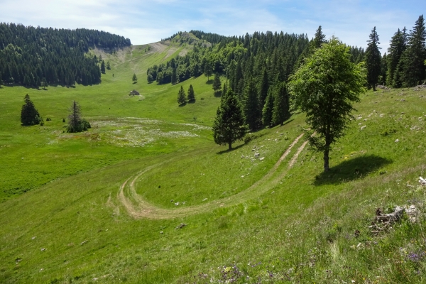 Gipfelabenteuer im Waadtländer Jura