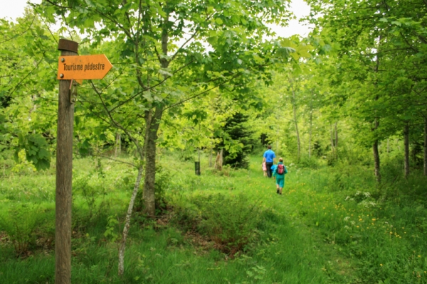 Unterwegs im Räuberwald