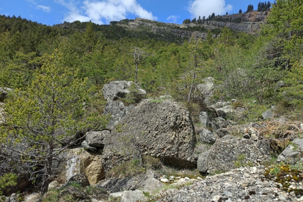 Dans la région de l’éboulement de Goldau