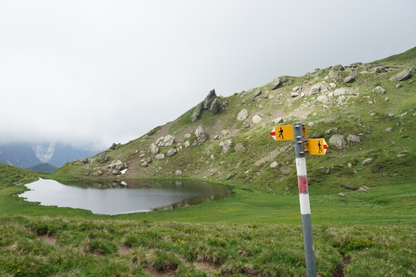 Panoramaweg zur Grossen Scheidegg